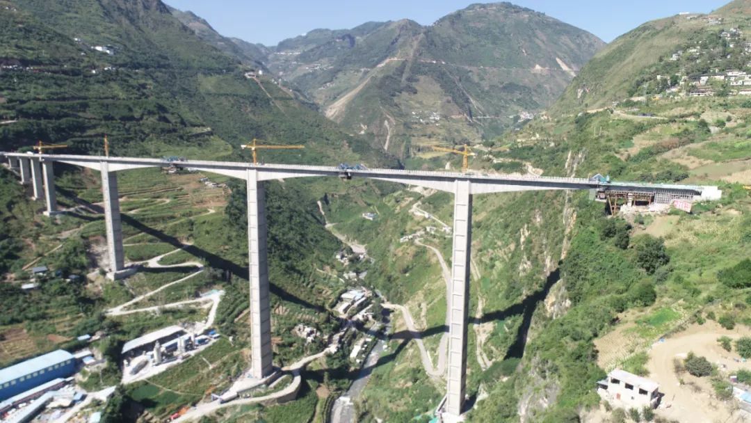 金陽河特大橋
